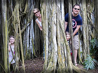 Family in Tree